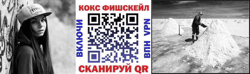 где найти   Асино  COCAIN Fish Scale 