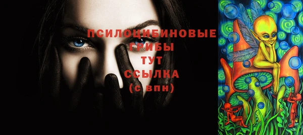 индика Арсеньев
