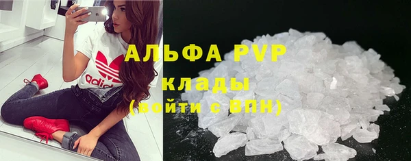 индика Арсеньев