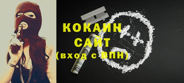 индика Арсеньев