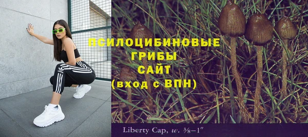 индика Арсеньев