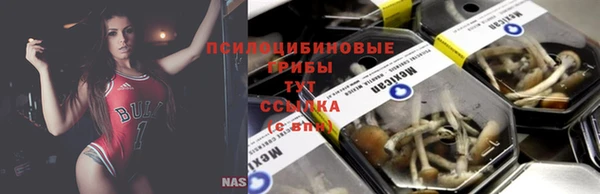 индика Арсеньев