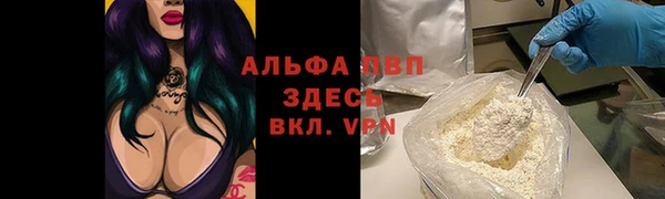 индика Арсеньев