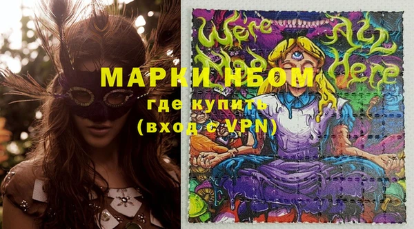 индика Арсеньев