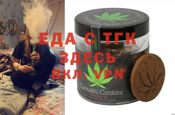 индика Арсеньев