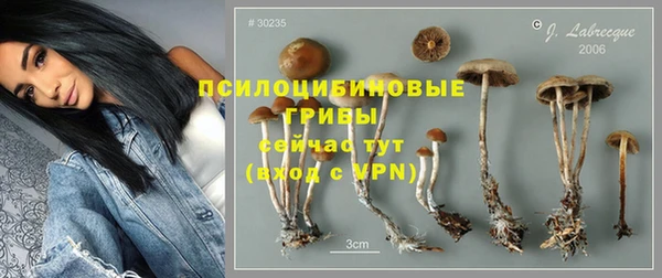 apvp Армянск