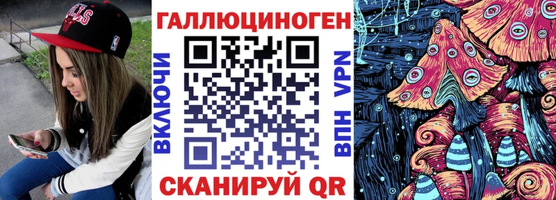 где продают Асино кракен ССЫЛКА Галлюциногенные грибы Psilocybine cubensis